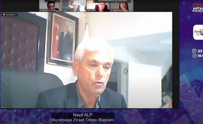 Ziraat Odası Başkanı Alp: "100 binin üzerinde ruhsatsız sondaj görünüyor"