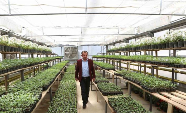 Ziyaret eden herkese ücretsiz dağıtılacak