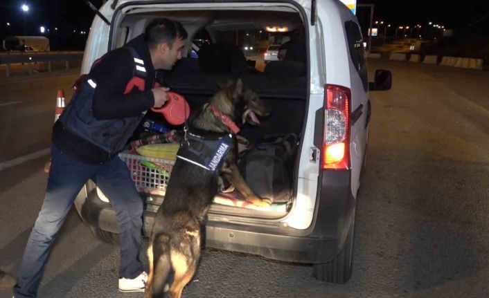 43 ilin geçiş güzergahında gece yarısı narkotik köpekli denetim: Araçlar didik didik arandı