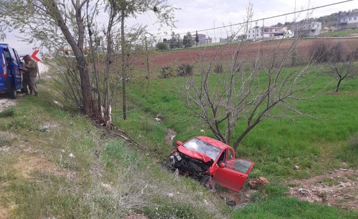 Ağaca çarpan otomobil şarampole yuvarlandı