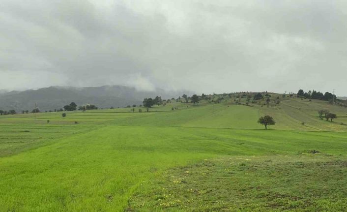 Baharda sisle buluşan Ilgaz Dağı’nın eteklerinde ortaya çıkan manzara mest etti