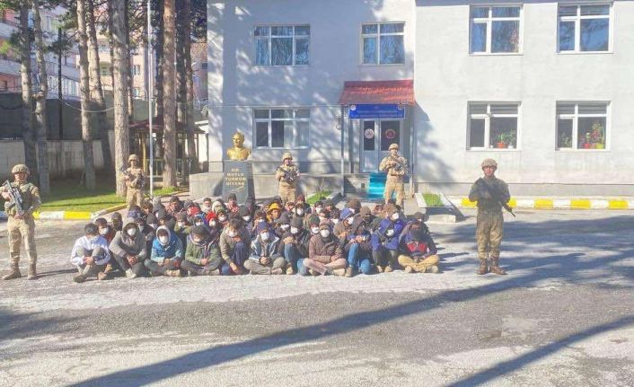 Bitlis’te 70 düzensiz göçmen yakalandı