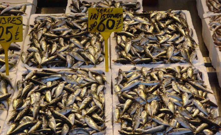 Denizlerde av yasağı başladı ancak balık tezgahlarında hareketlilik devam ediyor