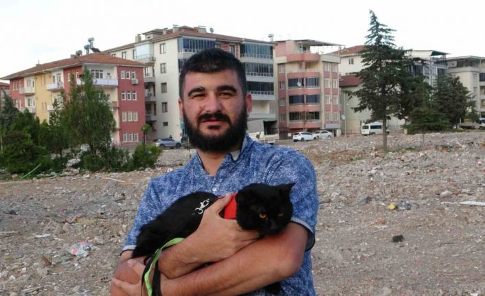 Depremde yıkılan evinin enkazında 11 gün sonra bulunan kedisine gözü gibi bakıyor