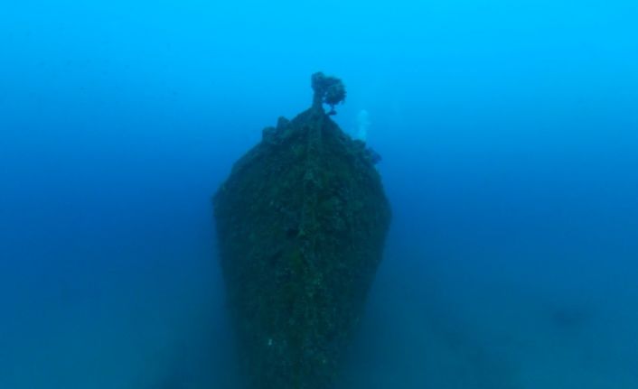 Dr. Mithat Atabay: "Çanakkale Boğazı önlerinde, boğazda ve Marmara Denizi’nde toplam 255 gemi batırıldı"