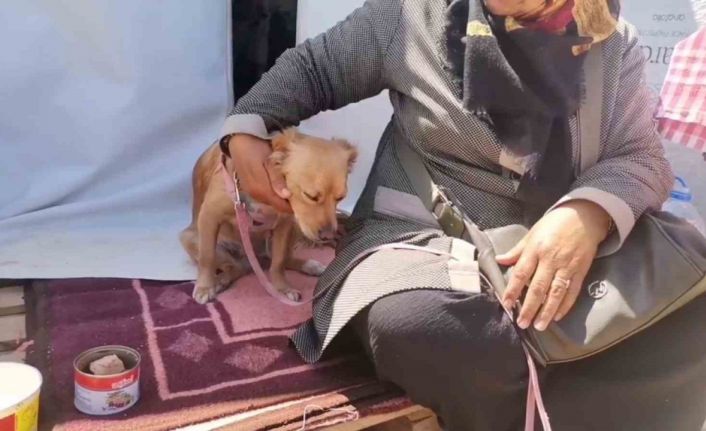Kahramanmaraş’ta depremde kendisini kurtaran köpeğiyle beraber çadır kentte yaşamını sürdürüyor