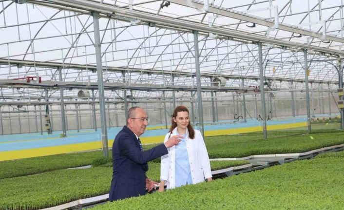 Konya’nın ilk ve tek sebze fidesi üretim merkezinde satışlar başladı