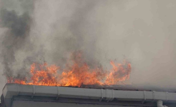 Pendik’te 3 katlı iki binanın çatısı alevlere teslim oldu