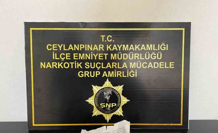 Polisten uyuşturucu serasına operasyon