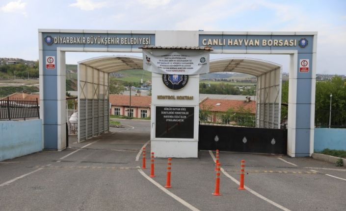 Şap nedeniyle geçici olarak kapanan Diyarbakır Canlı Hayvan Borsası yeniden açılıyor