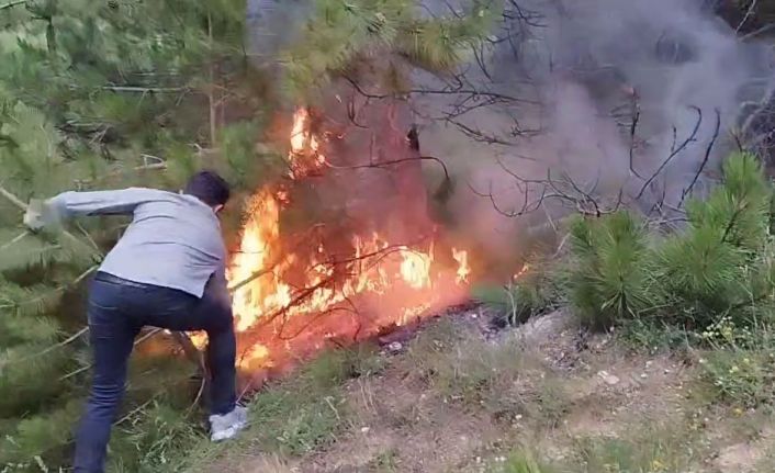 Son 10 yılda çeşitli sebeplerden 276 orman yangını meydana geldi