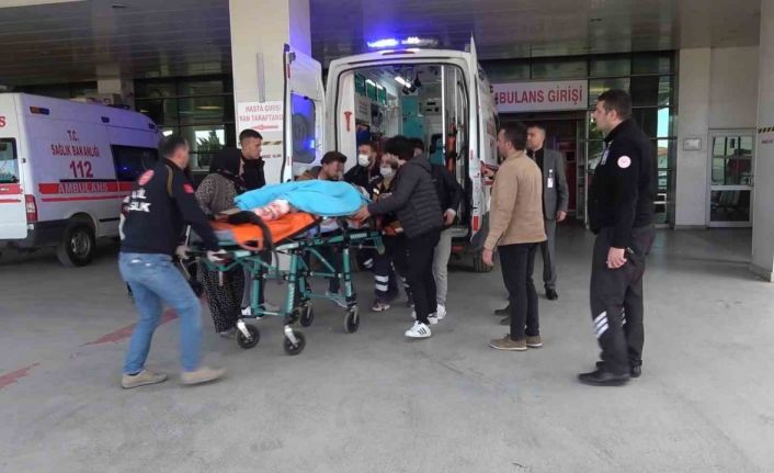 Tarlaya giren hayvan kavgası kanlı bitti: Öldürdüğü gardiyanın kardeşini de ağır yaraladı