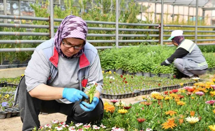 Tepebaşı renk renk