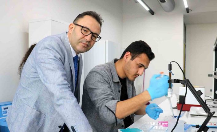 Türk bilim adamları geliştirdi, bu tohumlar çiftçinin cebini parayla dolduracak