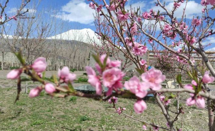 Türkiye’nin çatısı olarak nitelendirilen Ağrı Dağı eteklerinde meyve bahçesi ile turistleri bekliyor