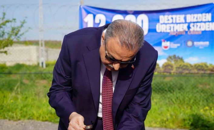 Vali Ali İhsan Su, 200 bin fıstık ve 12 bin ceviz aşılama çalışmasını başlattı