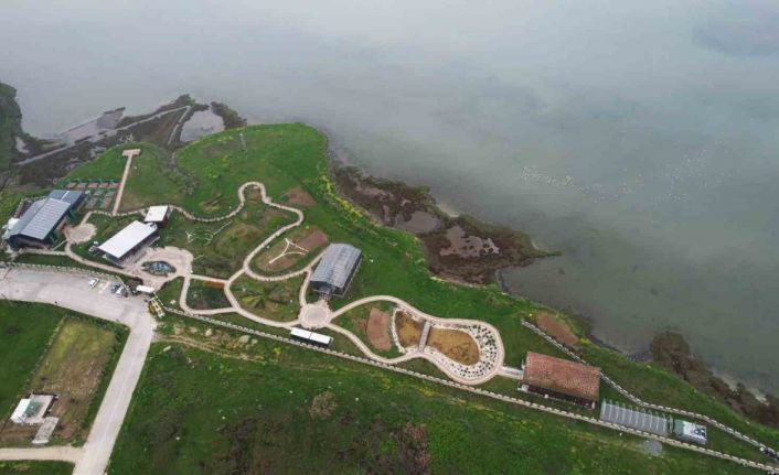 Altınova Belediyesi Tıbbi ve Aromatik Bitkiler Bahçesi şifa merkezine dönüyor