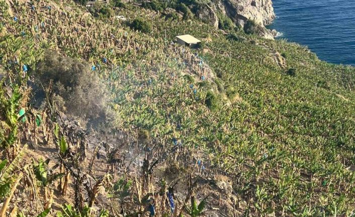 Antalya’da ormanlık alanda ve muz bahçesinde çıkan yangında 8 dönüm alan zarar gördü