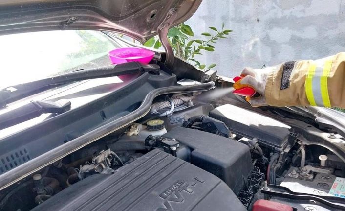 Araç motoruna giren zehirli yılan korkuttu