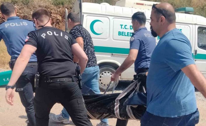 Bahçedeki kamelyada ölü olarak bulundu