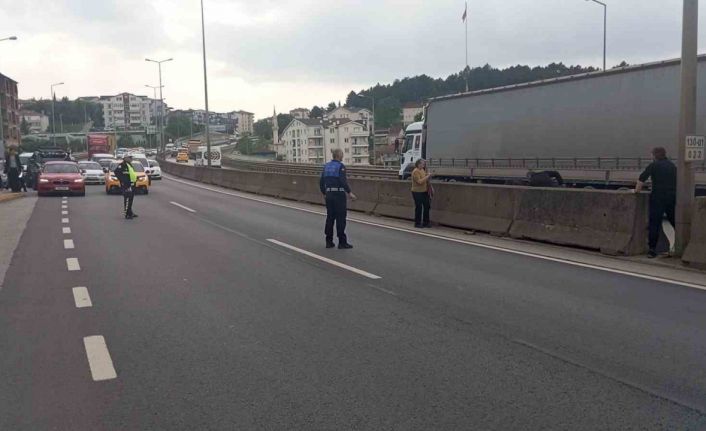 Beton bariyerlere sıkışan kedi için trafiği durdurdular: "Helal olsun size"