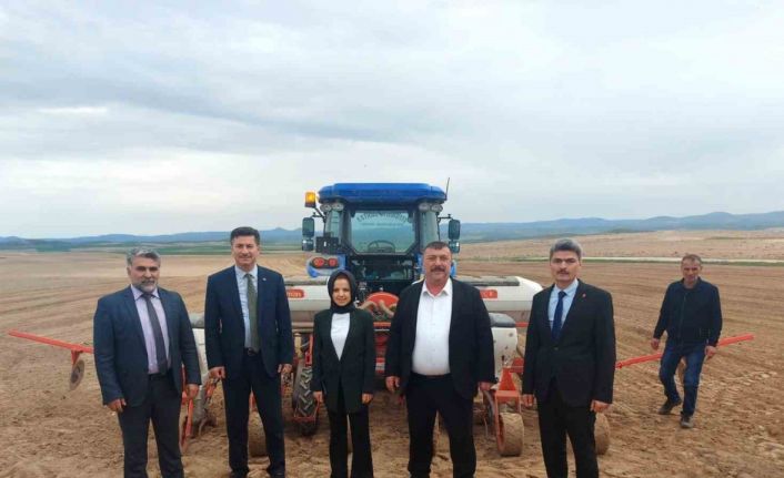 Beylikova’ya ayçiçeği ve sorgum tohum desteği