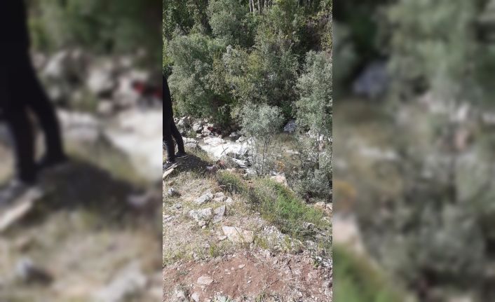 Bitlis’te otomobil dereye uçtu: 1 ölü, 2 yaralı