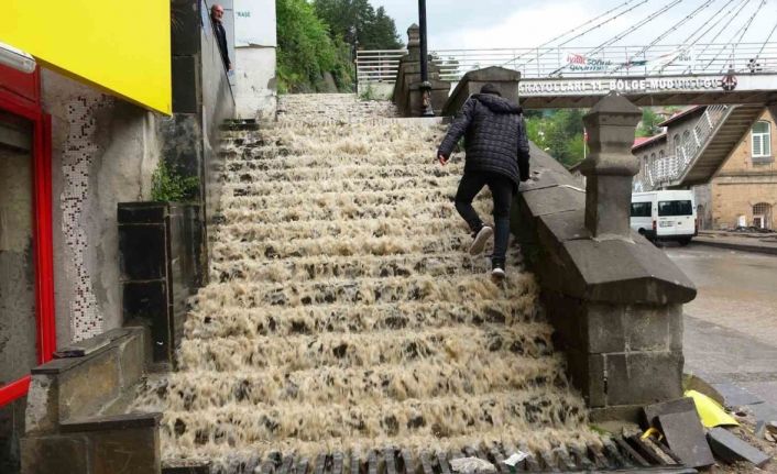 Bitlis’te sağanak sele neden oldu
