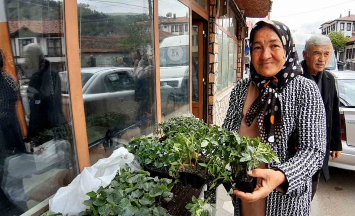 Bolu’da 10 bin fideye yoğun talep
