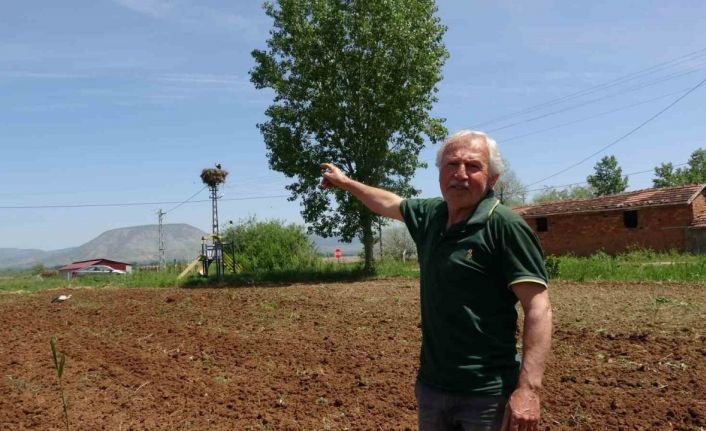 Bu köy 40 yıllık misafir leylekleriyle dikkat çekiyor