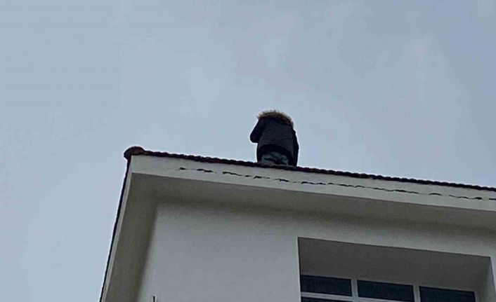 Çatıya çıkıp ekiplere zor anlar yaşattı, iki saat sonunda ikna edilebildi