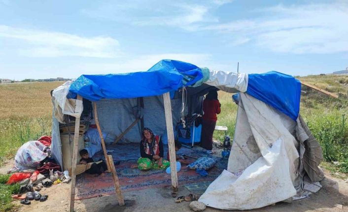 Çocuklarının bakmadığı yaşlı kadını çadırda da barındırmıyorlar
