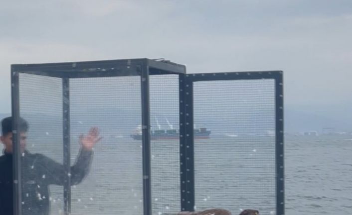Denizde buldukları yırtıcı kuşu ısıtıp bonfile ile besledikten sonra doğaya bıraktılar
