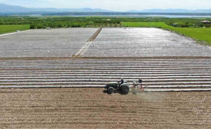 Deprem tarımı da vurdu, mevsimlik işçi bulunamıyor