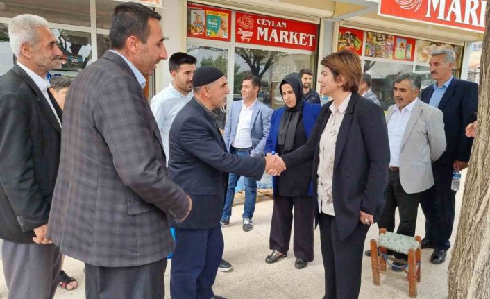 Diyarbakır’da AK Partili vekiller teşekkür turuna çıktı: Cumhurbaşkanı Erdoğan için destek istedi