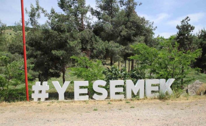 Dünyanın en büyük açık hava müzesi deprem sonrası ziyaretçilerini bekliyor