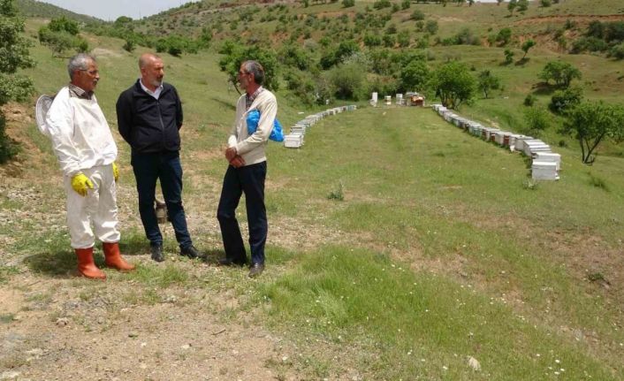 Elazığ Arı Yetiştiricileri Birliği Başkanı Canbay: “Ekolojik dengede en önemli unsur arıdır”