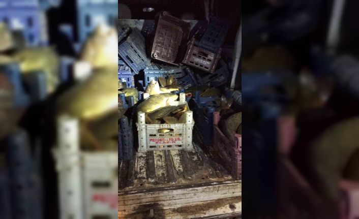 Elazığ’da kaçak avcıya 16 bin lira para cezası uygulandı