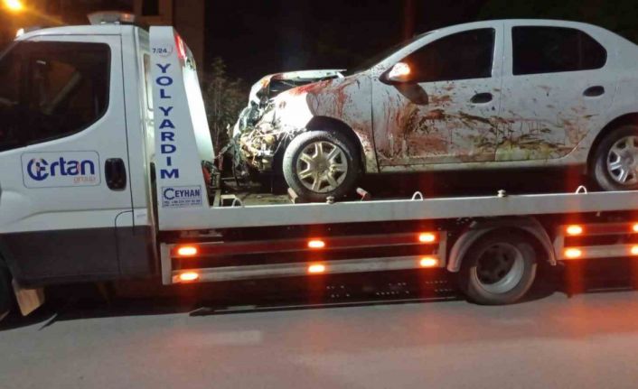 Elazığ’da otomobil koyun sürüsüne daldı: 2 yaralı