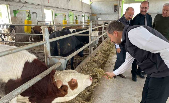 "Geçen yıl Kütahya’da girişimcilere TKDK’dan 106, Kırsal Kalkınma’dan 58 destekleme verildi"