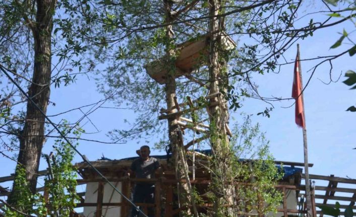 Görenler gözlerine inanamıyor, araçların dallarında meyve değil tabut var