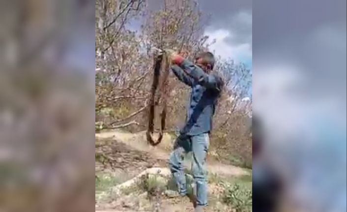 İçme suyu borusundan metrelerce ağaç kökü çıktı, görenler hayrete düştü