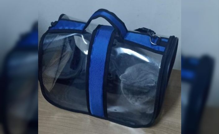 Isparta’da çalınan 2 köpek ve 1 kedi HAYDİ ekipleri tarafından bulundu