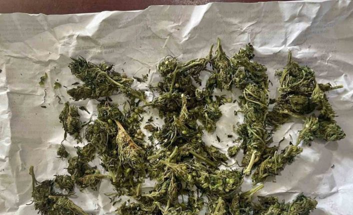 Jandarma ekipleri uyuşturucuya geçit vermedi