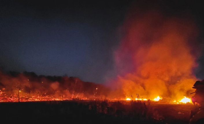Kanada’da orman yangınları 110 farklı noktada devam ediyor