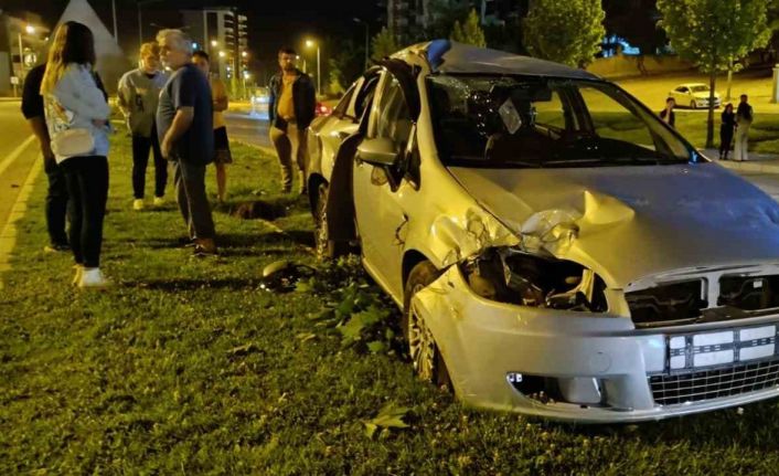 Kontrolden çıkan araç aydınlatma direği ve ağaçları devirdi