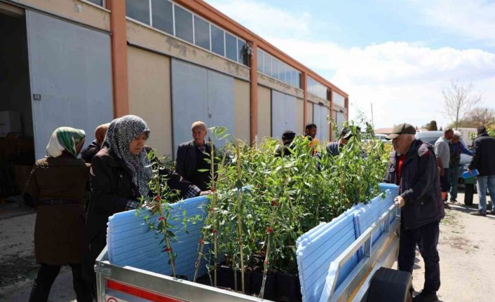 Konya Büyükşehir 31 ilçede ürün çeşitliliğini artırmak için çiftçiye destek oluyor