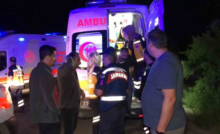 Köpeğe çarpan kamyonet şarampole uçtu: 4 yaralı