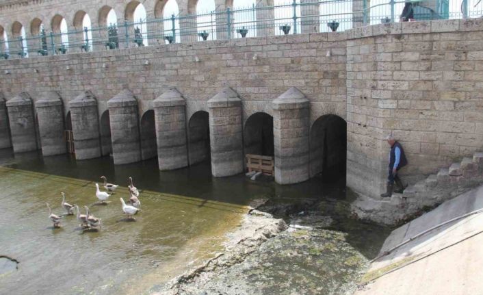 Köprü önüne ve regülatör gözleri içinde kuluçkaya yatan Meke ve kazlar ilgi odağı oldu