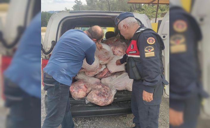 Köyceğiz’de kaçak hayvansal ürünler ele geçirildi